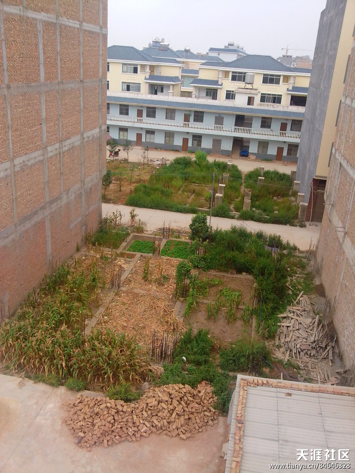 160086504.jpg