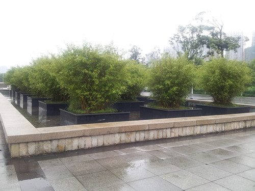 20140504_151959.jpg