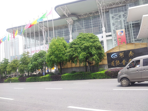 20140505_115650.jpg