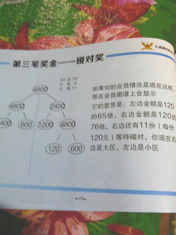õϴ