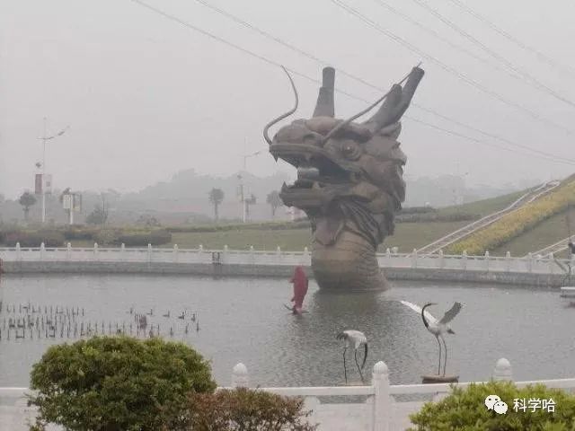 1040 ɹȥΪʲôˣ-2.jpg