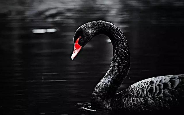 2018꣬Ҳ-1.jpg