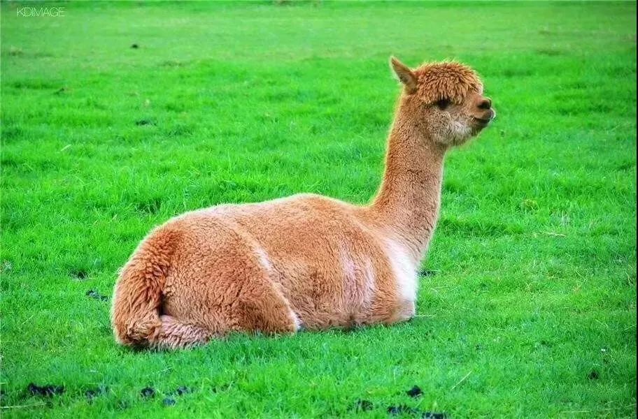 ͶʵĵǲǴ?ƪӦ-4.jpg