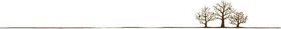 ѶƷƭ:üٻϴԿֻΪı-2.jpg