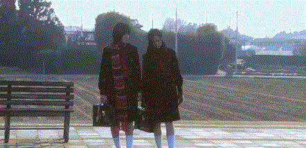 8.gif