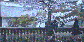 9.gif