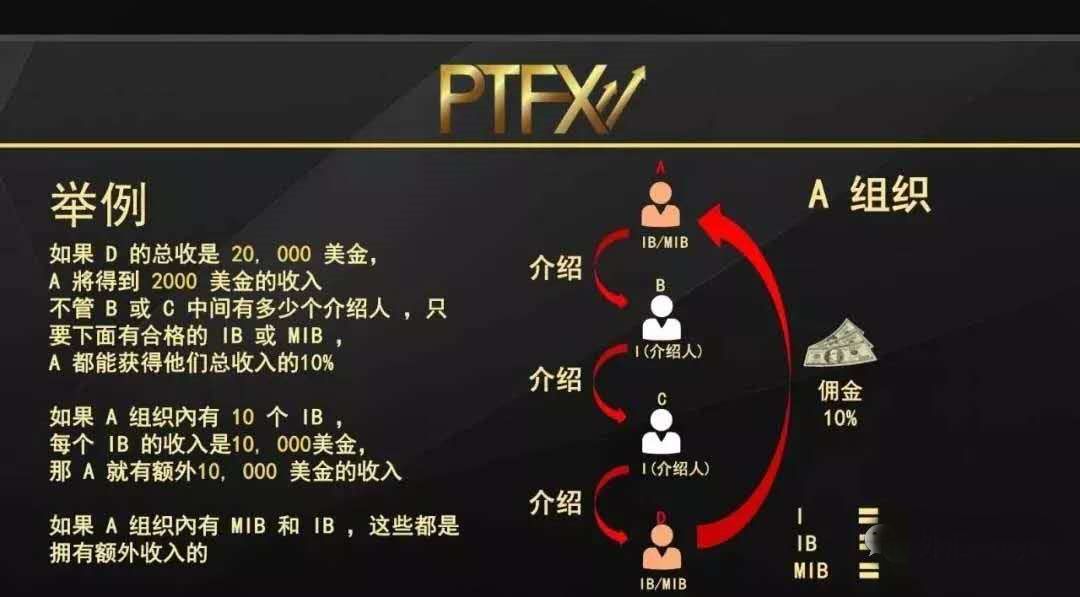 ͷPTFXն١󾹻ڶ-5.jpg