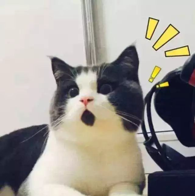 Ůƭ㶫,ˡֵܡ14ս!-5.jpg