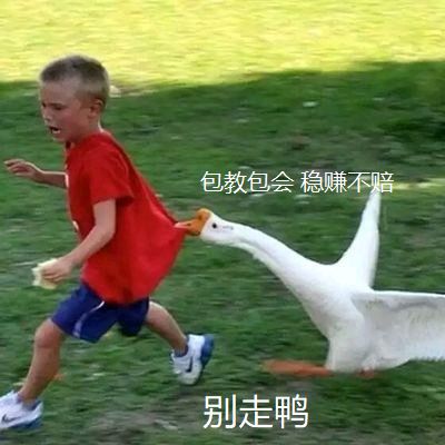 ȫɵ,һֻҽո-28.jpg