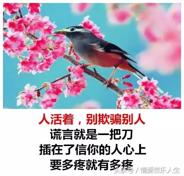 :,ɹƭ͵;,Ժζĳ-3.jpg
