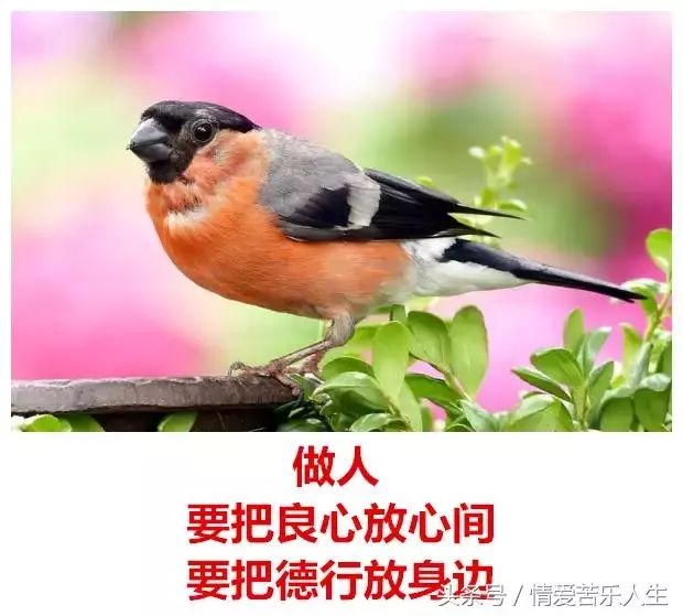 :,ɹƭ͵;,Ժζĳ-10.jpg