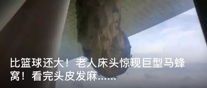 ҳؿ!Щƭ֪ʶ,һӾ!-26.jpg