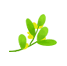 ȫݷƭָpick?-9.jpg