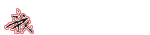 ס-33.jpg