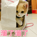 ԰ͷҡͶ˱ƭʧ400-15.jpg