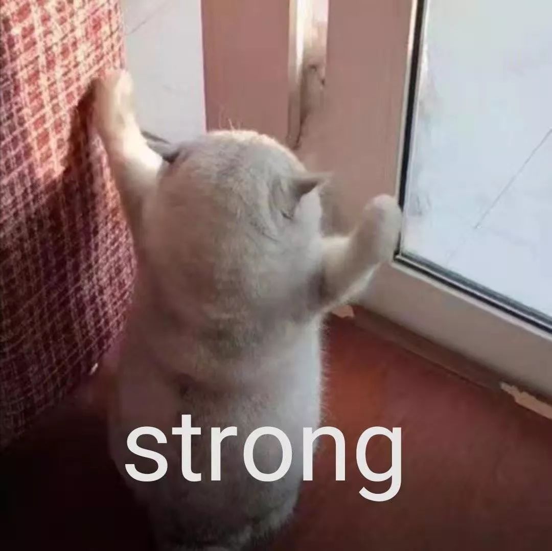w3.jpg