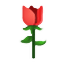 w2.png