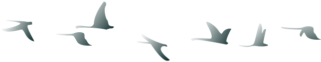 w1.jpg