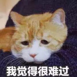 7Сʱ˷ṫɹһƭŮͯ-3.jpg
