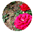 ȵ㡿˷ӻڹ˵¶ƭֶͯΣ-19.jpg