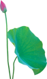 w15.jpg