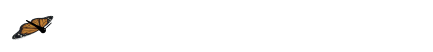 w2.jpg