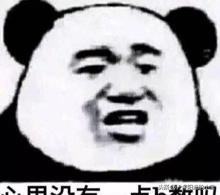 ˵ңɽԺΡʿȫǼٵ-15.jpg