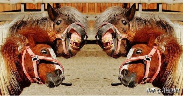Ȧˣ˭ġӡ?-2.jpg
