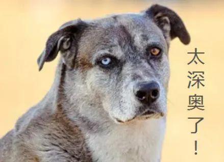 ģ硱թƭ-1.jpg