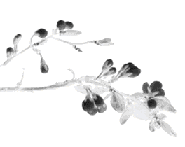 Ů Լ1990ҳ1994ұյӱʡɽзĺѰ493375-6.jpg