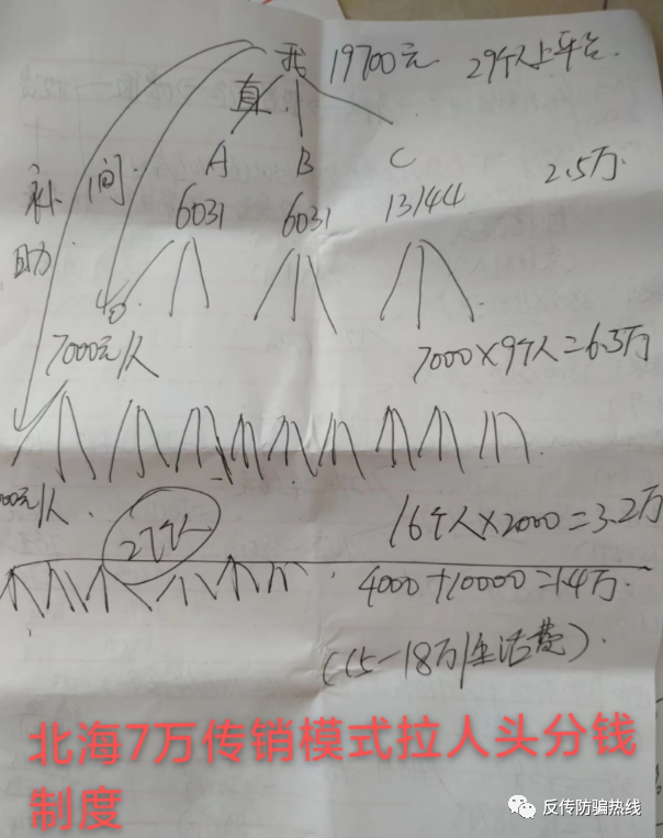 w2.jpg