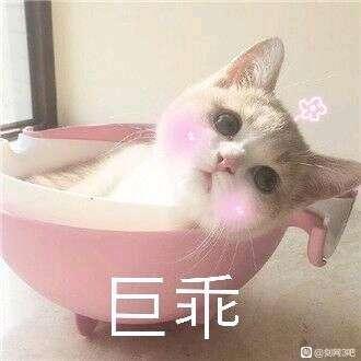 ɹӪ12꣬3ķƭؼﵽʲô±ؿ-6.jpg