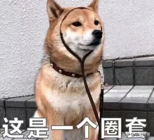 թ˭˵ˢթƭǨһŮӸˡˢ׬Ǯԡ-2.jpg