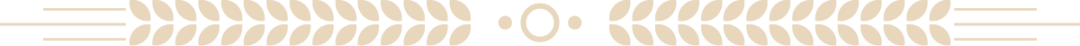 w5.jpg