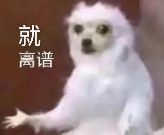 ʵϰְPUA-2.jpg