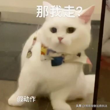 ˡסˢթƭˢթƭ-3.jpg