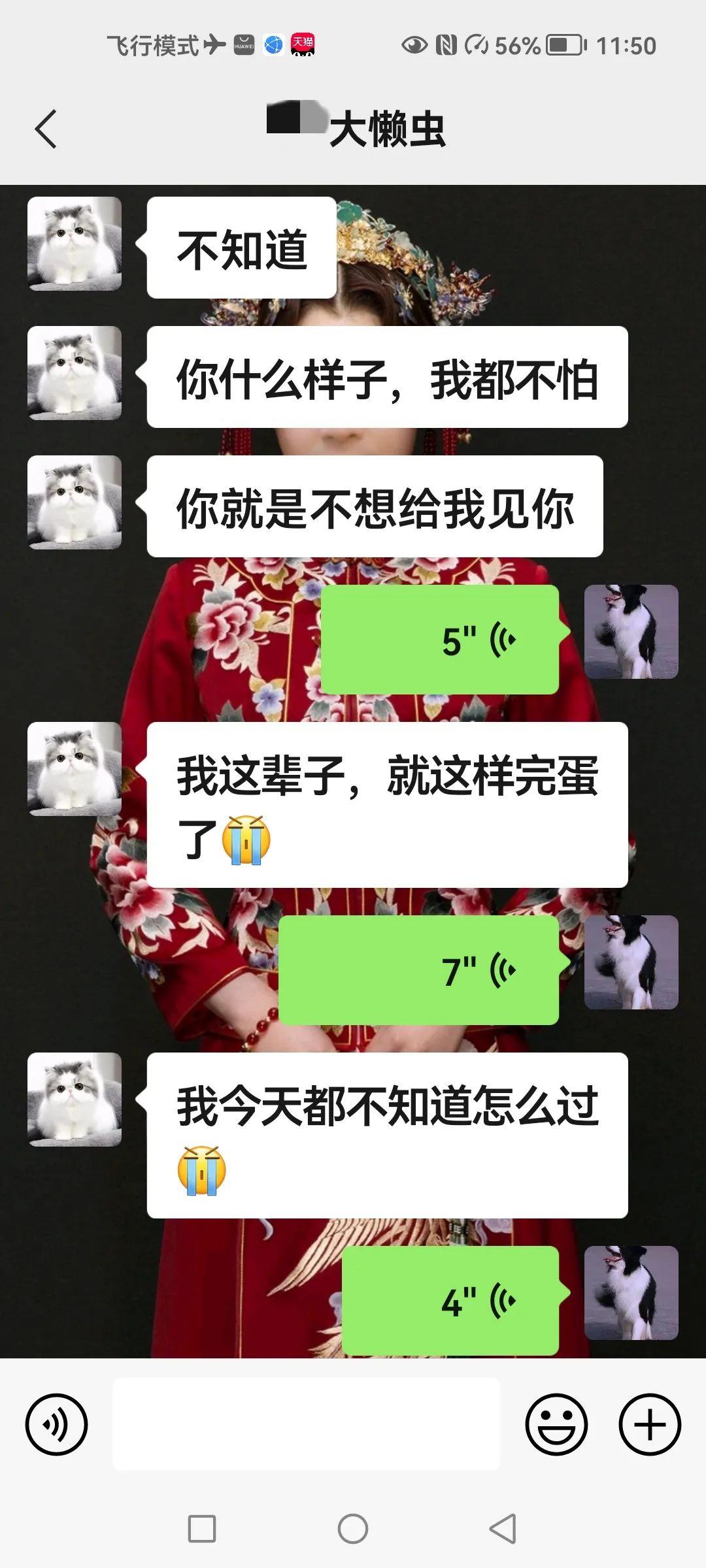 w13.jpg