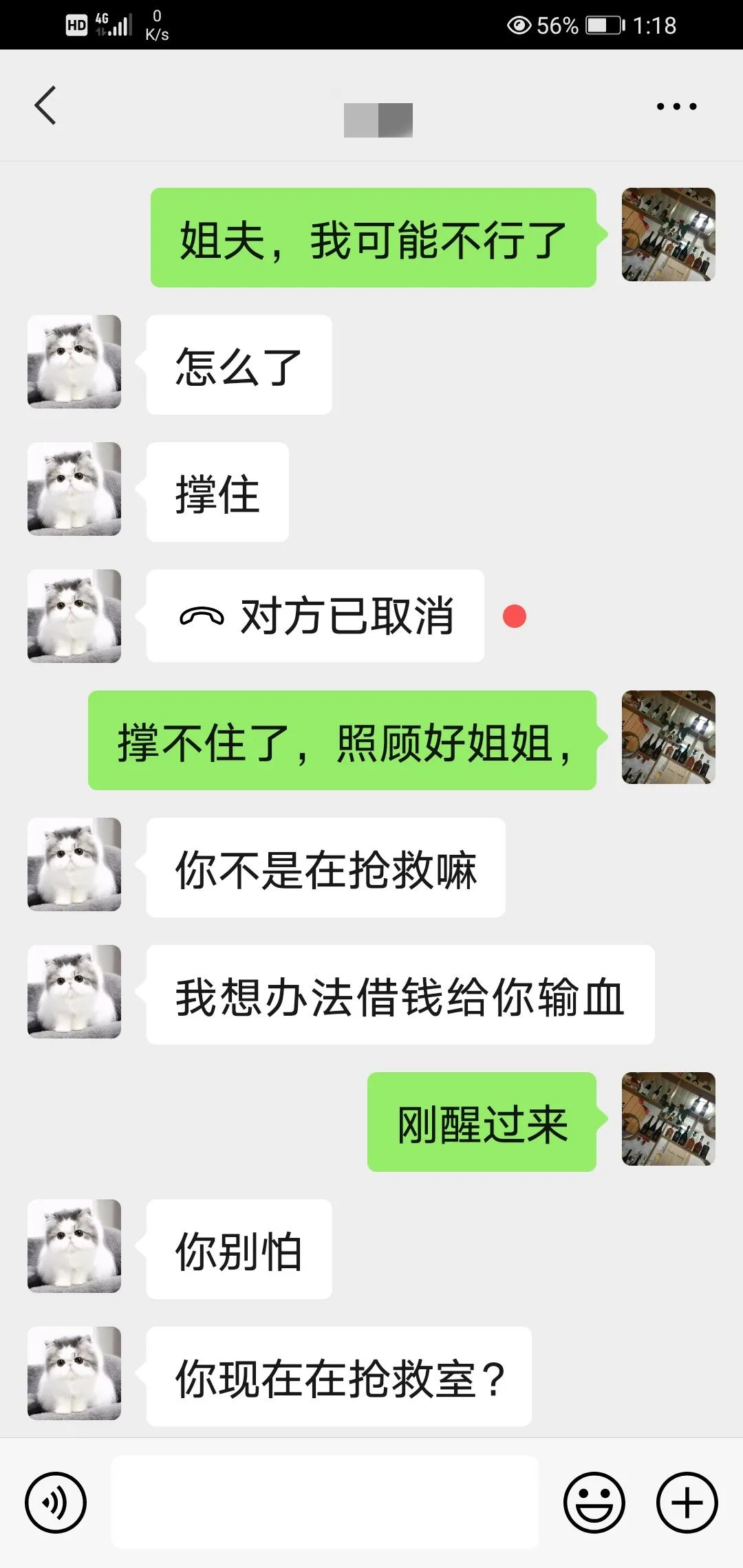 w17.jpg