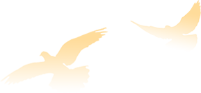 w10.jpg