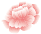 w7.jpg