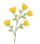 w11.jpg