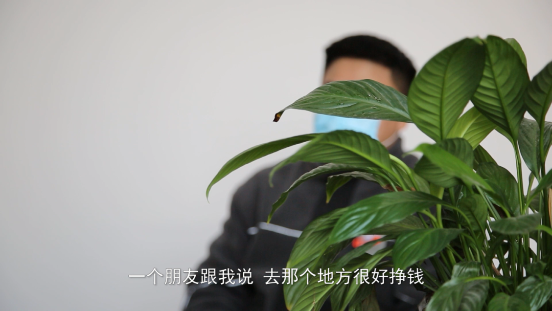 w2.jpg