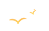 w5.jpg