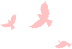 w5.jpg
