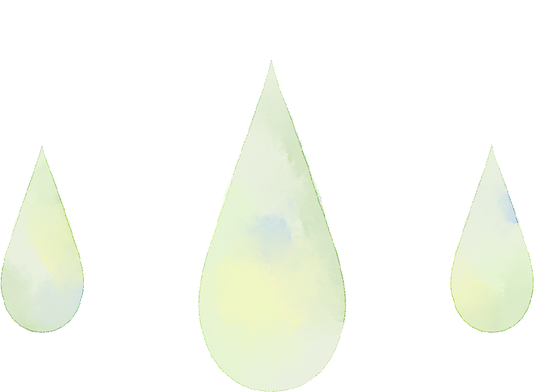 w1.jpg