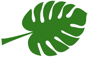 w1.jpg