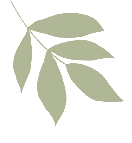 w4.jpg