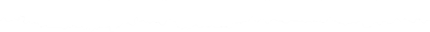 w5.jpg