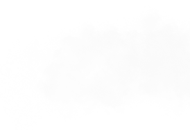 w3.jpg