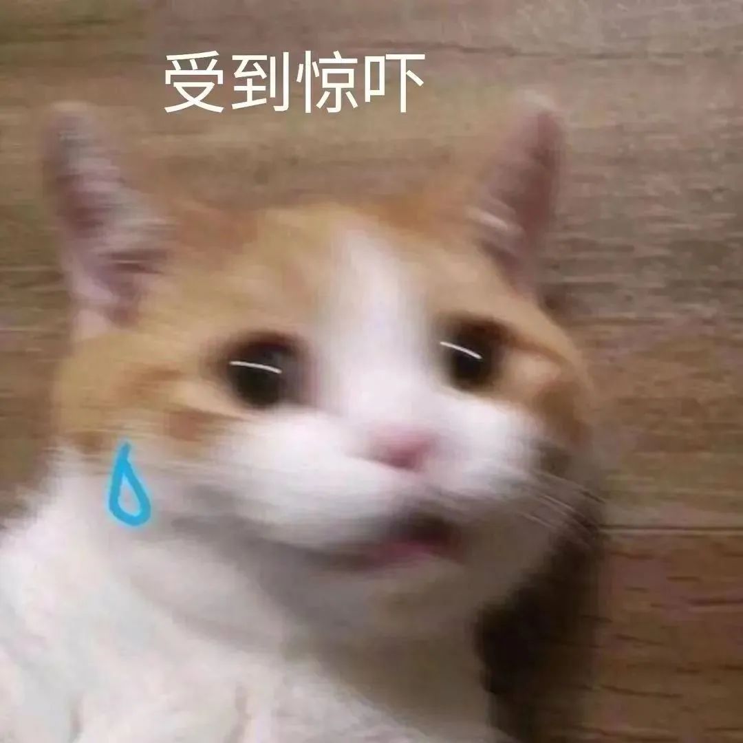w2.jpg